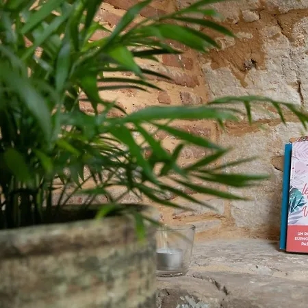 Escapade De Charme T2 Centre Historique 公寓 *